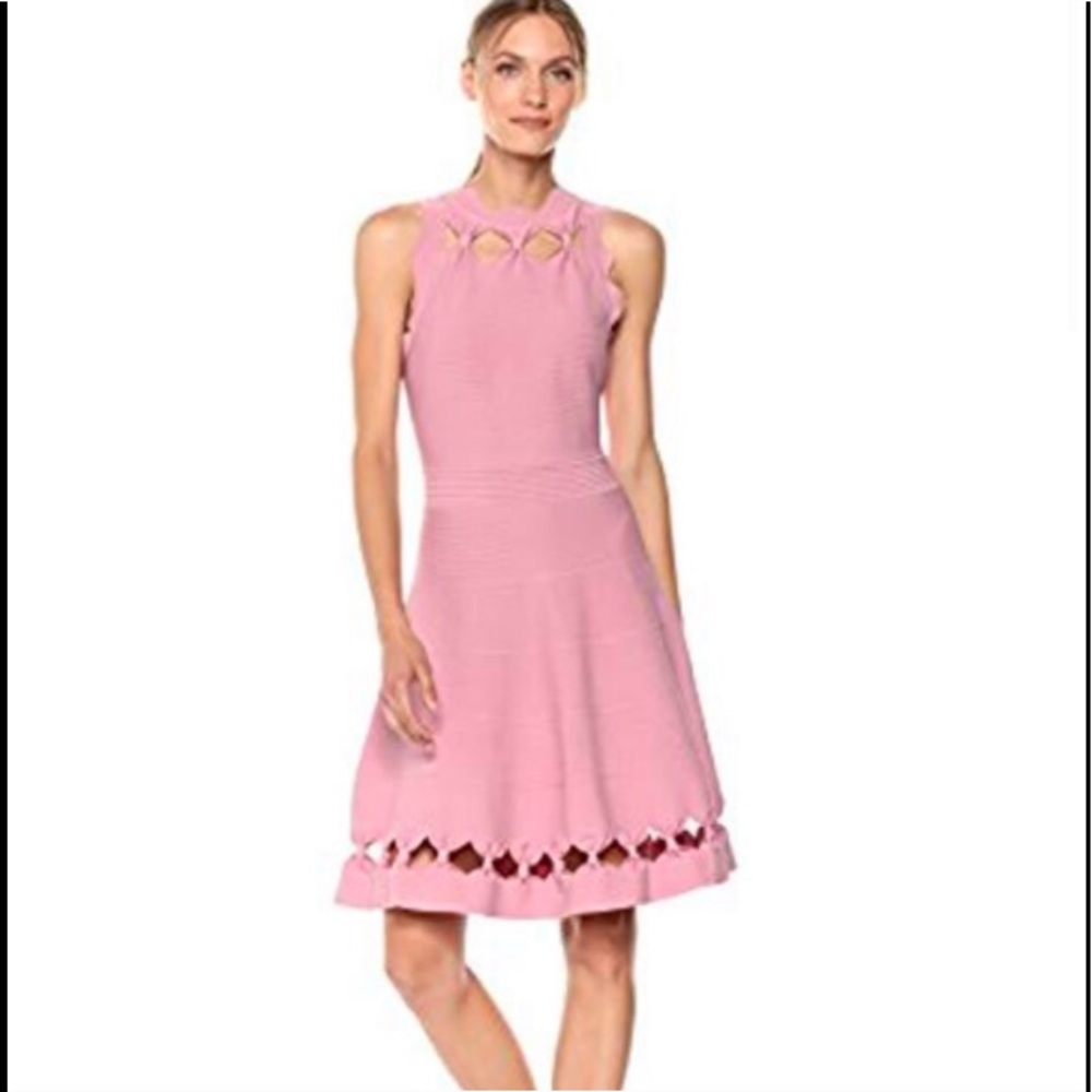 Ted Baker London NWT Dress